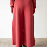 Stacy Cropped Track Pants in Red