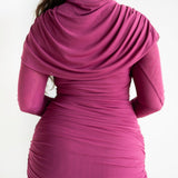 Anu Long Sleeve Draped Top